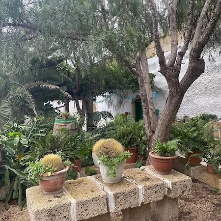 Abuelo Bailon Apartmán