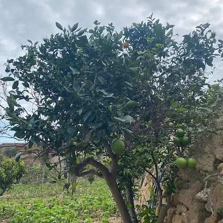 Διαμέρισμα Abuelo Bailon Arico Viejo